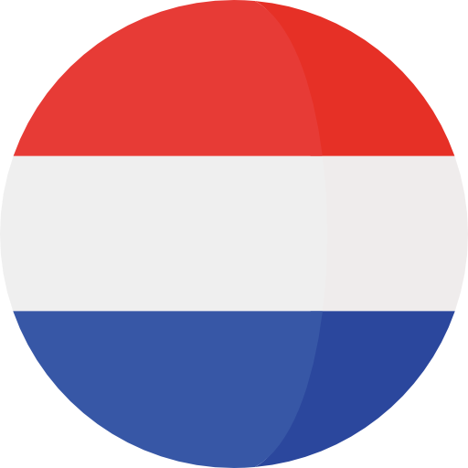 Dutch (basic skills)